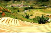 ĐẠI LÝ VÉ MÁY BAY TẠI YÊN BÁI